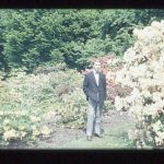 Mann in dunklem Anzug und Fliege spaziert durch blühenden Garten mit weißen Blüten