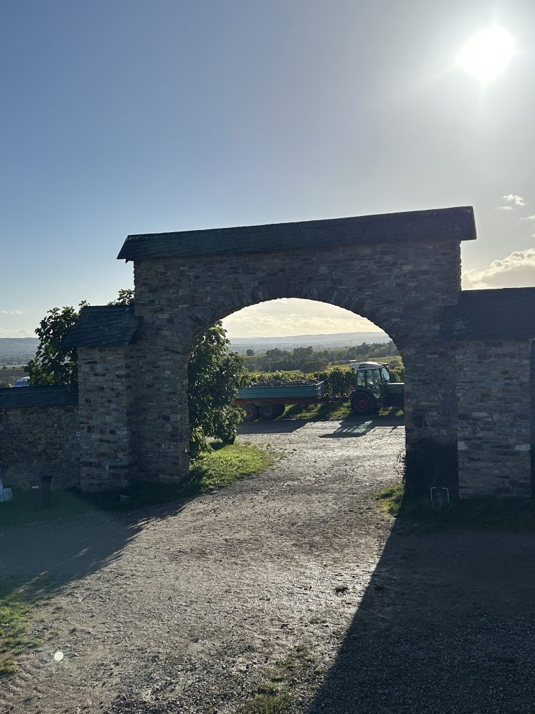 Traktor Kloster Eberbach