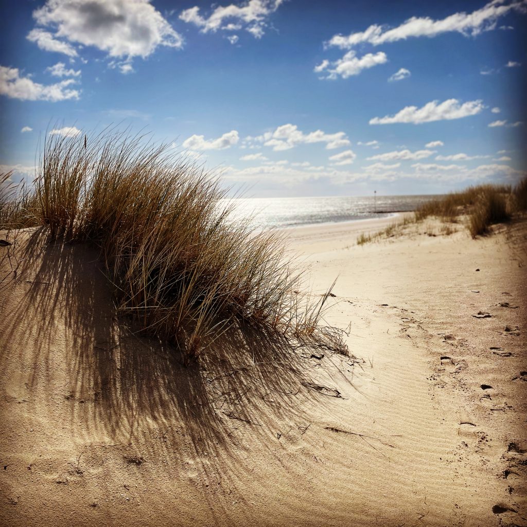 Strandhafer wirft Schatten auf feinsandigen Strand mit Meeresblick unter blauem Himmel